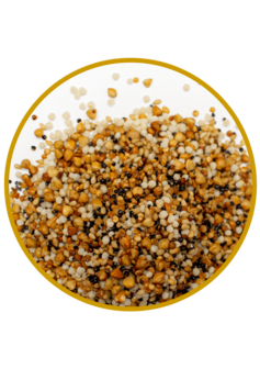 Crispy granen en zaden mix 250gr