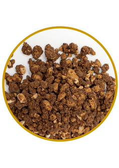 Chocolate Speculoos &amp; Hazelnut Crunch 400gr